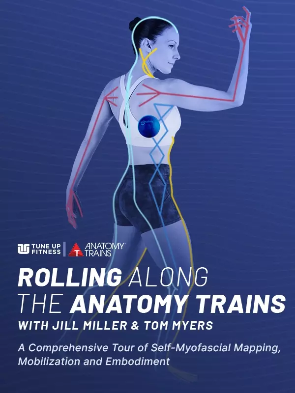 Rolling Along the Anatomy Trains: A Comprehensive Tour to Self