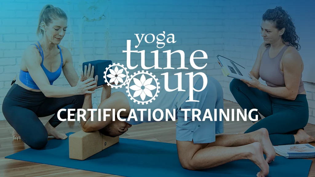 YTU Certification Training Key Art.
