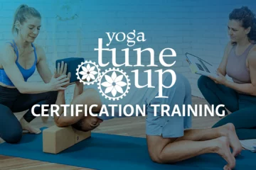 YTU Certification Training Key Art.