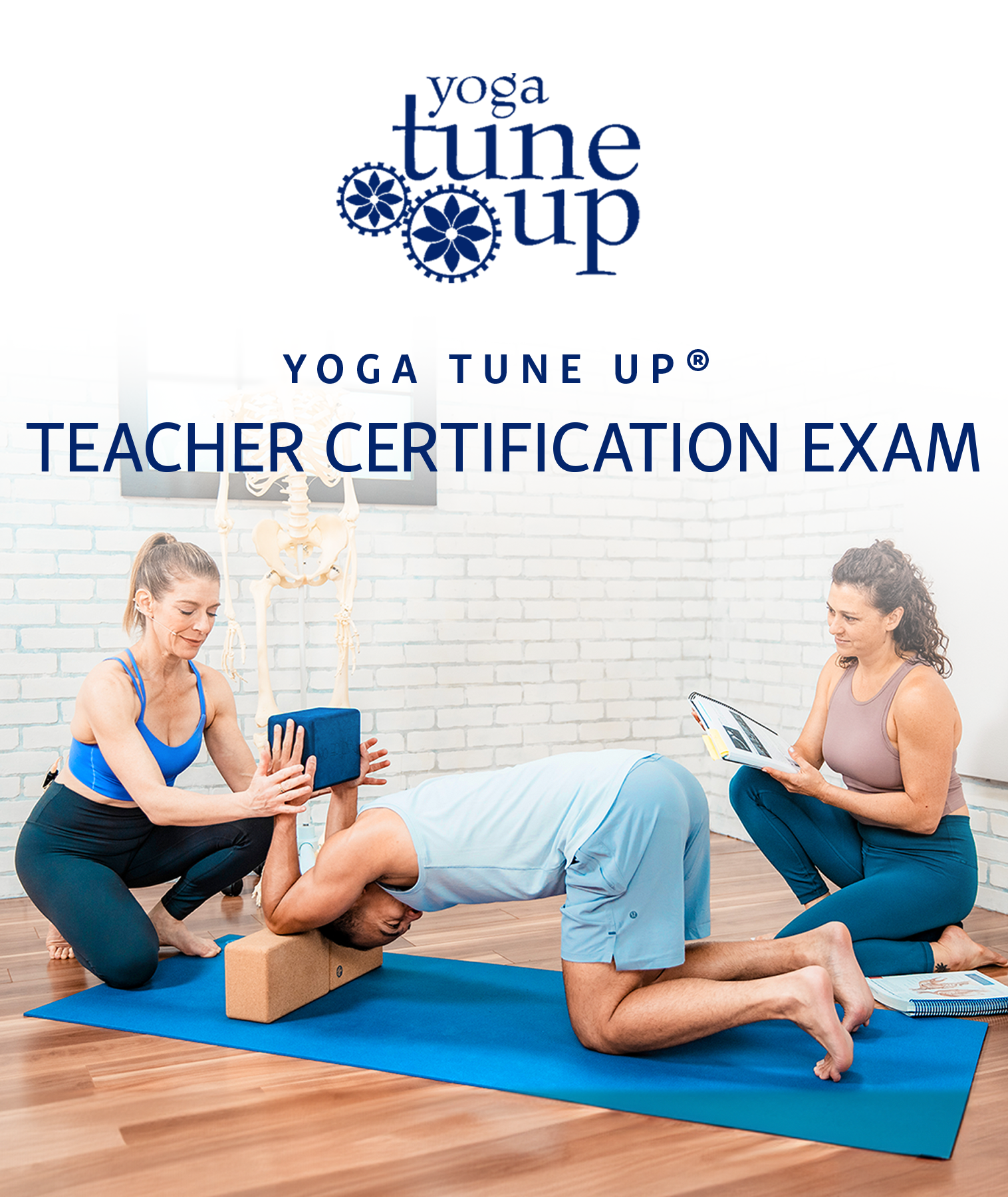 Yoga Tune Up® Teacher Certification Exam