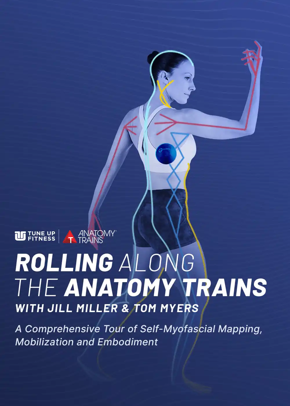 RATAT Course Image Rolling Along the Anatomy Trains course cover featuring a female figure with myofascial lines illustrated, highlighting self-myofascial mapping and movement education with Jill Miller and Tom Myers.